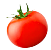 tomate